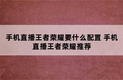 手机直播王者荣耀要什么配置 手机直播王者荣耀推荐